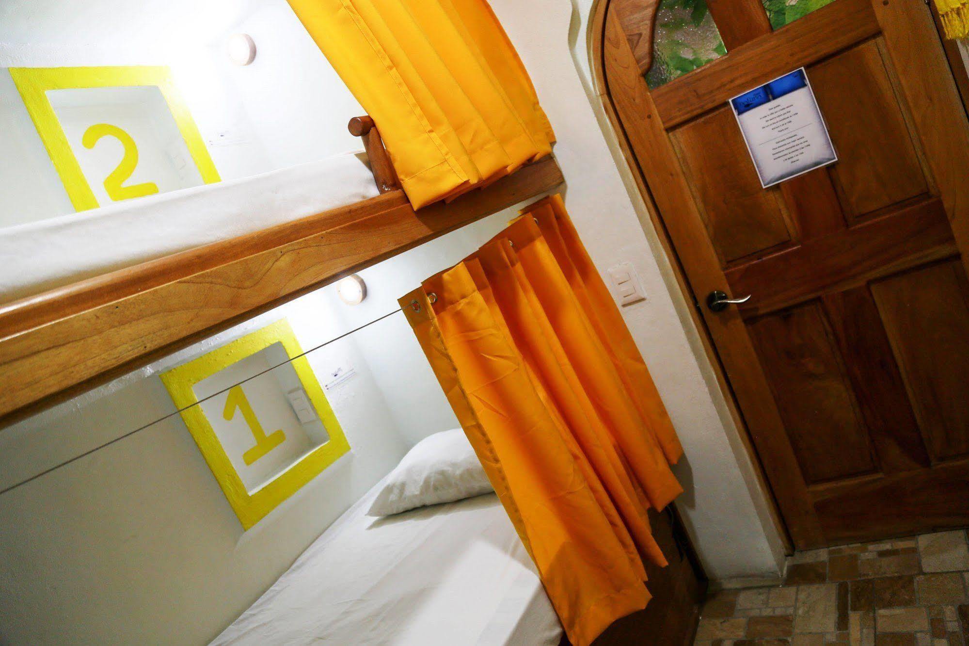 Hostel Natura Cancún Extérieur photo